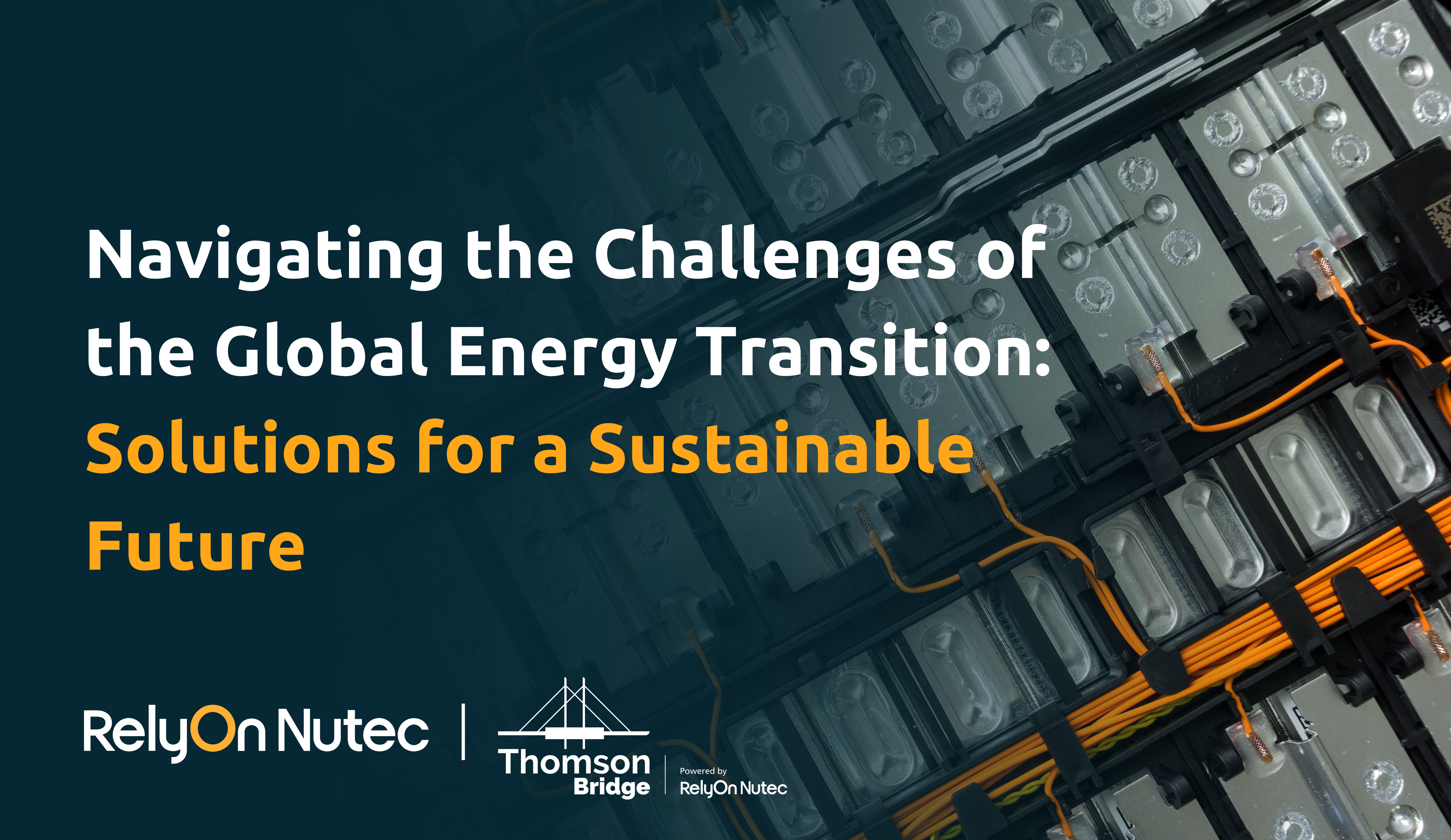 Navigating the Challenges of the Global Energy Transition - Training 