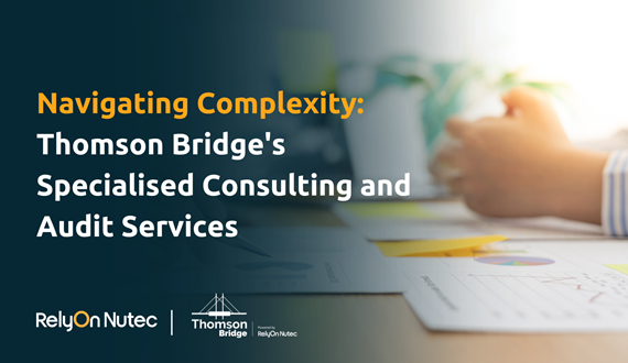 Navigating Complexity: Thomson Bridge's Specialised Consulting and Audit Services